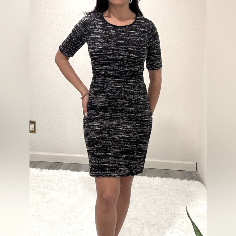 Banana Republic Petite Dress